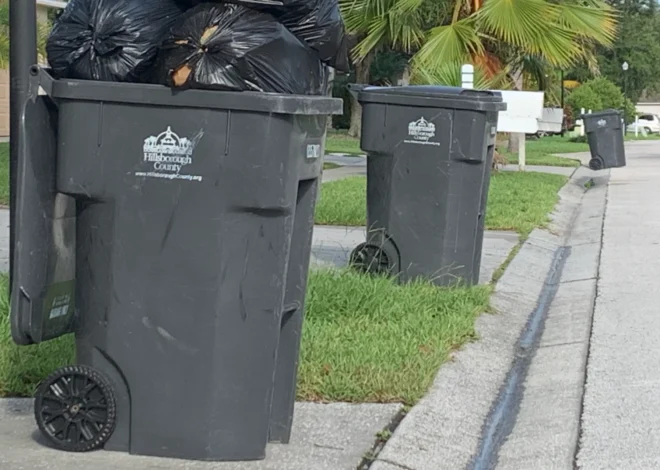 Tirar basura en Florida: multas, prohibiciones y las líneas que no se deben cruzar