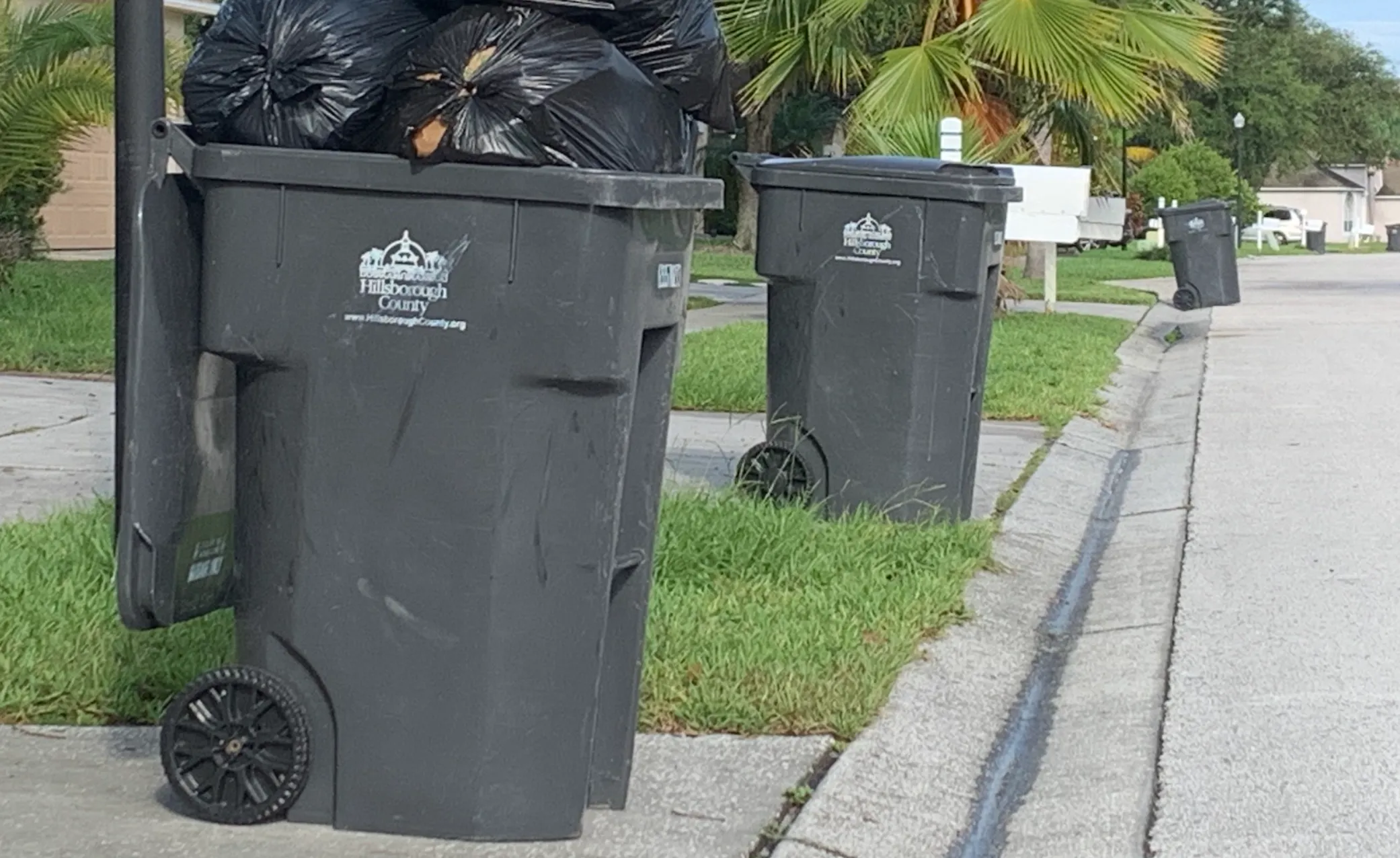 Tirar basura en Florida: multas, prohibiciones y las líneas que no se deben cruzar