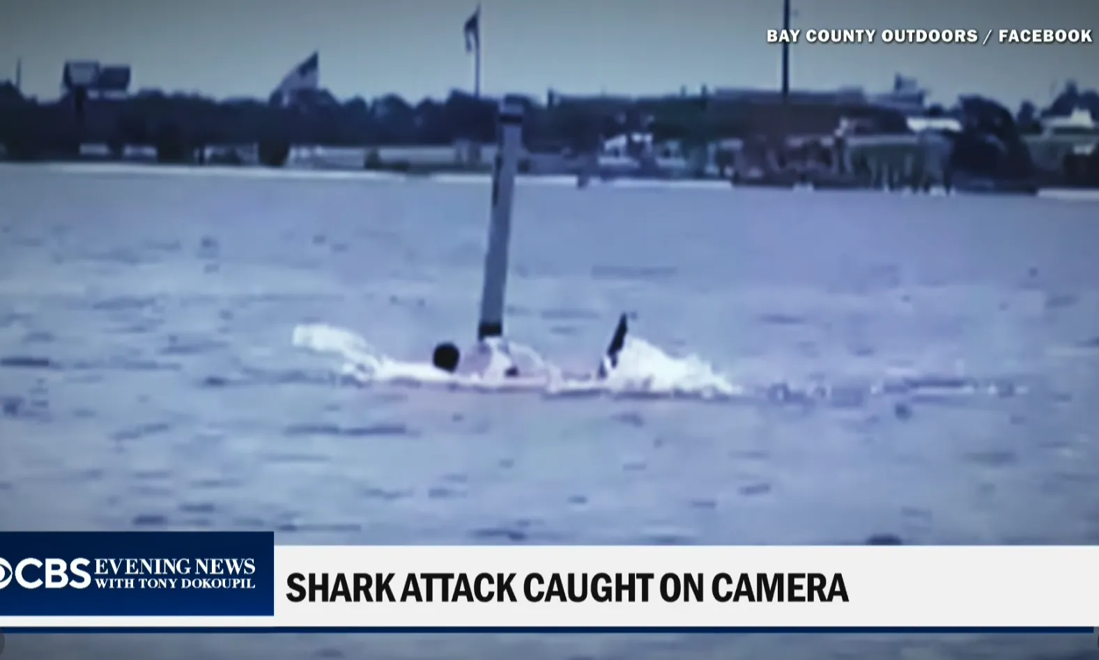 Grave ataque de tiburón deja herido a empleado de la Marina en Florida