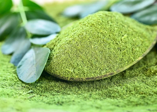 Moringa: El “árbol milagroso” que sorprende a la ciencia por su potencial contra el cáncer